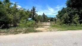 Land for sale in Kratip, Nakhon Pathom