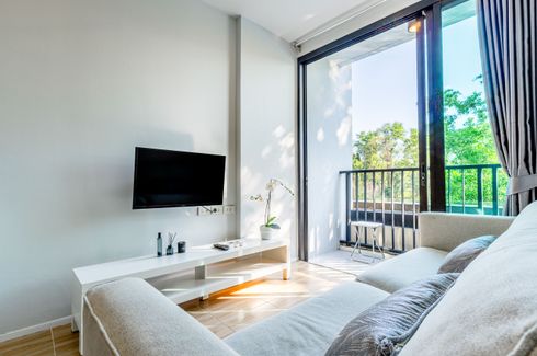 1 Bedroom Condo for rent in Zcape X2, Choeng Thale, Phuket