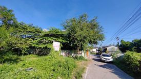 Land for sale in Suthep, Chiang Mai