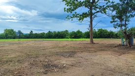 Land for sale in Chom Phu, Chiang Mai