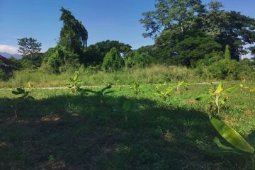Land for sale in Nong Chom, Chiang Mai