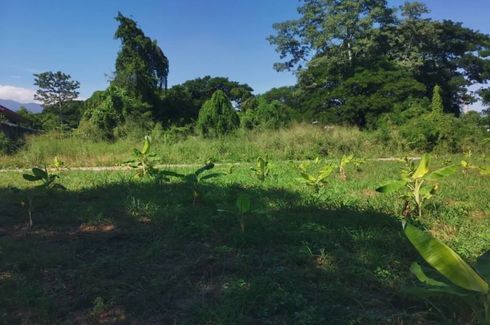 Land for sale in Nong Chom, Chiang Mai