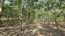 Land for sale in Kaeng Hang Maeo, Chanthaburi