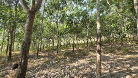 Land for sale in Kaeng Hang Maeo, Chanthaburi