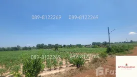 Land for sale in Bo Kwang Thong, Chonburi