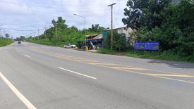 Land for sale in Ban Chian, Chainat