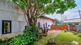 2 Bedroom Commercial for sale in Rim Tai, Chiang Mai