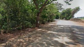 Land for sale in Wang Phong, Prachuap Khiri Khan