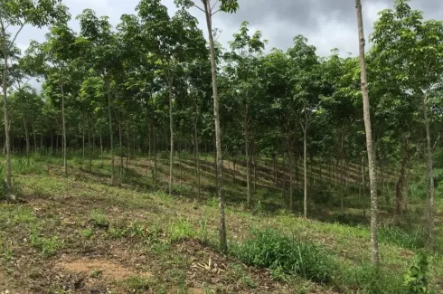 Land for sale in Nong Phlap, Prachuap Khiri Khan