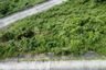 Land for sale in Ang Thong, Surat Thani