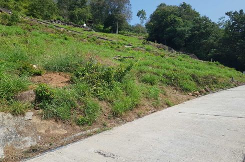 Land for sale in Ang Thong, Surat Thani