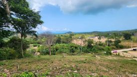 Land for sale in Mae Nam, Surat Thani