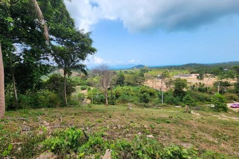 Land for sale in Mae Nam, Surat Thani