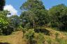 Land for sale in Maret, Surat Thani