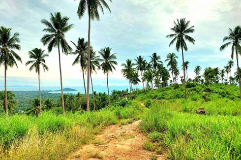 Land for sale in Lipa Noi, Surat Thani