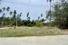 Land for sale in Mae Nam, Surat Thani