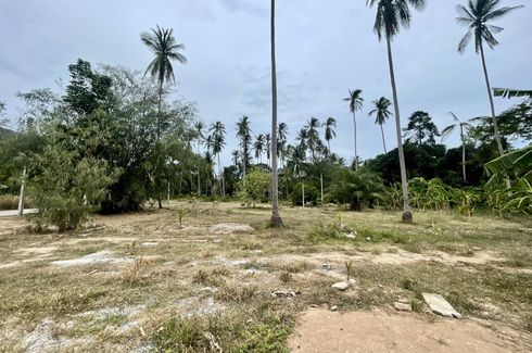 Land for sale in Mae Nam, Surat Thani