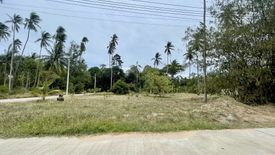 Land for sale in Mae Nam, Surat Thani