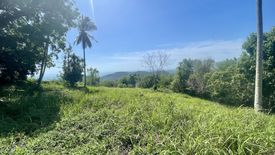 Land for sale in Taling Ngam, Surat Thani