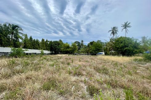 Land for sale in Mae Nam, Surat Thani