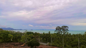 Land for sale in Ang Thong, Surat Thani