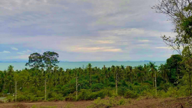 Land for sale in Ang Thong, Surat Thani