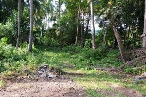 Land for sale in Taling Ngam, Surat Thani