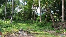 Land for sale in Taling Ngam, Surat Thani