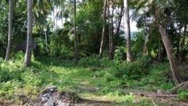 Land for sale in Taling Ngam, Surat Thani