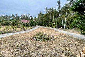 Land for sale in Mae Nam, Surat Thani