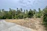 Land for sale in Mae Nam, Surat Thani
