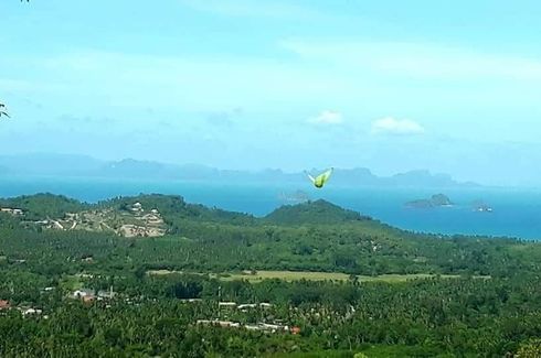 Land for sale in Lipa Noi, Surat Thani