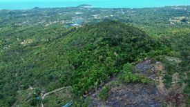 Land for sale in Lipa Noi, Surat Thani