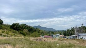 Land for sale in Mae Nam, Surat Thani