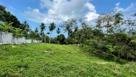 Land for sale in Ang Thong, Surat Thani