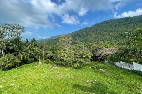 Land for sale in Ang Thong, Surat Thani