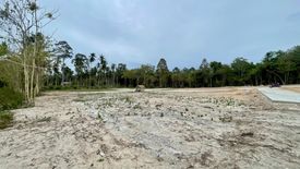 Land for sale in Mae Nam, Surat Thani