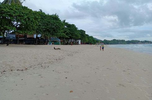 Land for sale in Bo Phut, Surat Thani