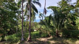 Land for sale in Mae Nam, Surat Thani