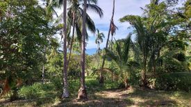 Land for sale in Mae Nam, Surat Thani