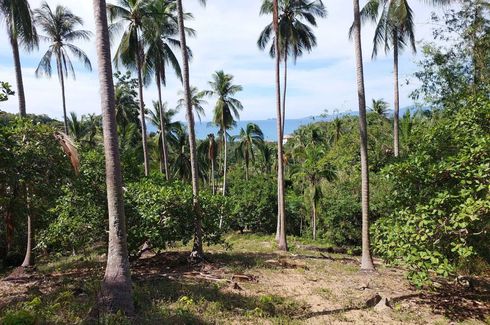 Land for sale in Mae Nam, Surat Thani