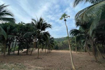 Land for sale in Mae Nam, Surat Thani