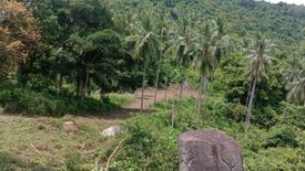 Land for sale in Lipa Noi, Surat Thani