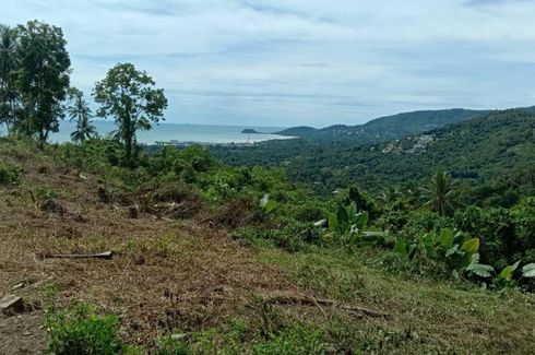 Land for sale in Lipa Noi, Surat Thani