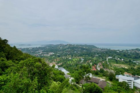 Land for sale in Bo Phut, Surat Thani