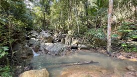 Land for sale in Mae Nam, Surat Thani