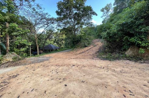 Land for sale in Mae Nam, Surat Thani