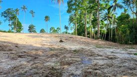 Land for sale in Maret, Surat Thani