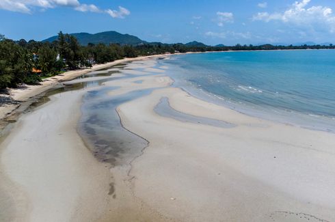 Land for sale in Lipa Noi, Surat Thani