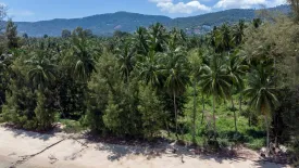 Land for sale in Lipa Noi, Surat Thani